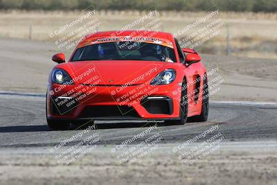 media/Oct-21-2023-Speed Ventures (Sat) [[ddf75163c5]]/Green/Grapvine/